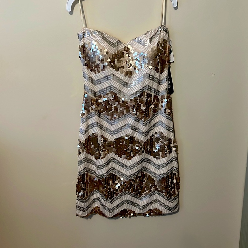 Medium Sequin Mini Dress